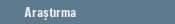 Ara�t�rma
