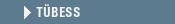 T�BESS