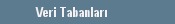 Veri Tabanlar�