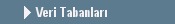 Veri Tabanlar�