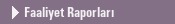 Faaliyet Raporlar�