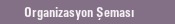 Organizasyon �emas�