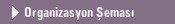 Organizasyon �emas�