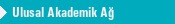 Ulusal Akademik A�