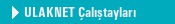 ULAKNET �al��taylar�