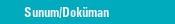 Sunum/Dok�man