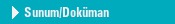 Sunum/Dok�man