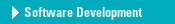 Software Development