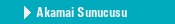 Akamai Sunucusu