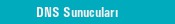 DNS Sunucular�