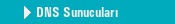 DNS Sunucular�