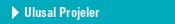 Ulusal Projeler