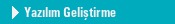 Yaz�l�m Geli�tirme